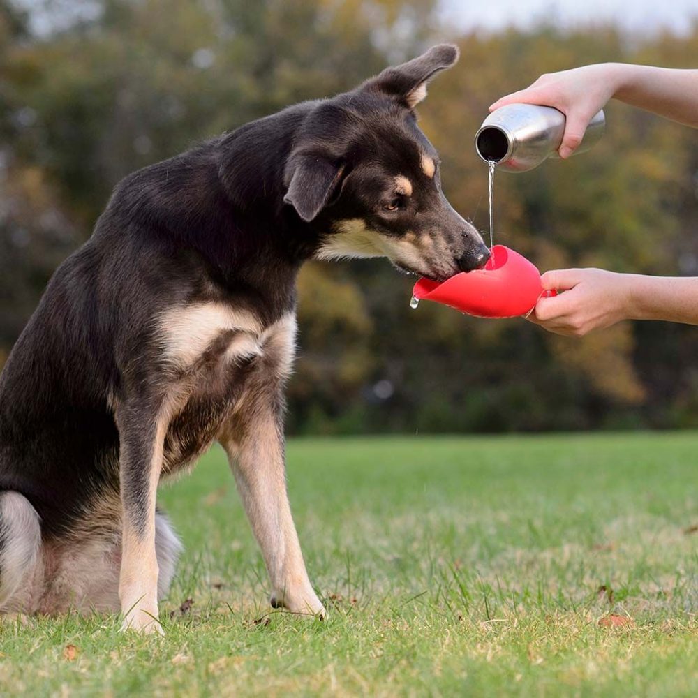 Kong H2O Stainless Steel Bottle 74Ml – Red  |  Dog Cooling Products Dog Cooling Products Dog Cooling Products