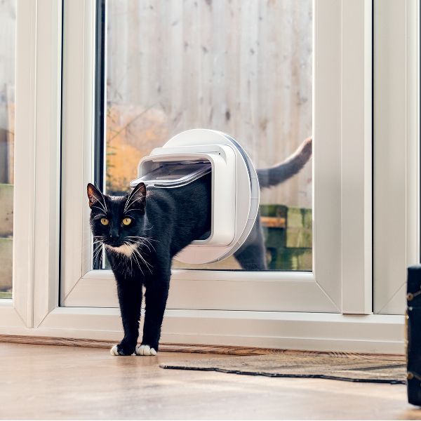 Microchip Cat Flap Connect With Hub  |  Cat Flaps Cat Flaps Cat Flaps