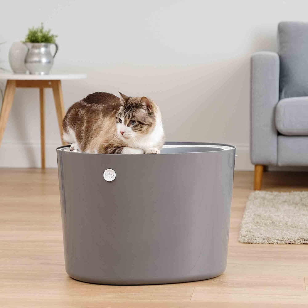 Open Top Litter Box – W53Cm  |  Cat Litter Trays Cat Litter Trays Cat Litter Trays