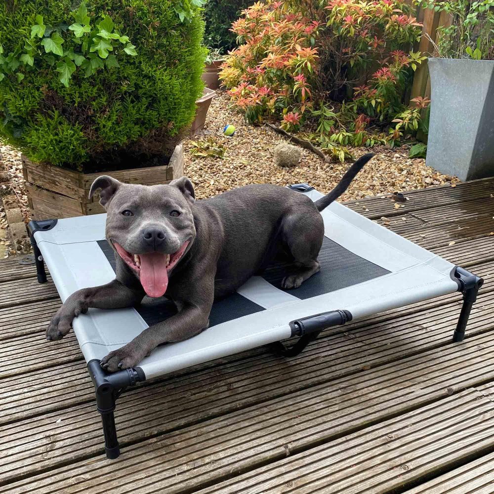 Premium Raised Dog Bed – Large 91X76Cm  |  Dog Beds Dog Beds Dog Beds