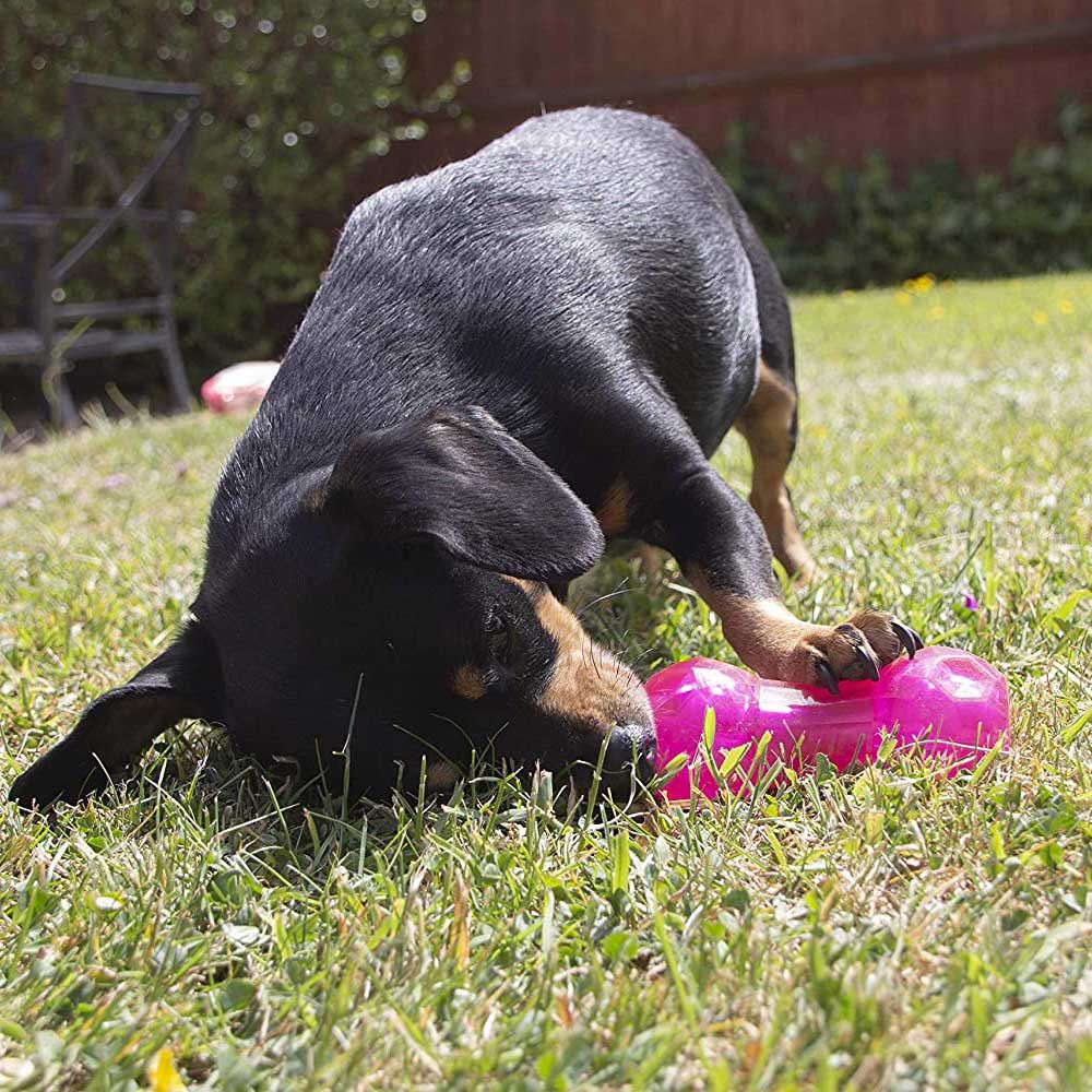 Rosewood Biosafe Puppy Treat Dispensing Toy – Pink – Dumbell  |  Puppy Products Dog Products Puppy Products