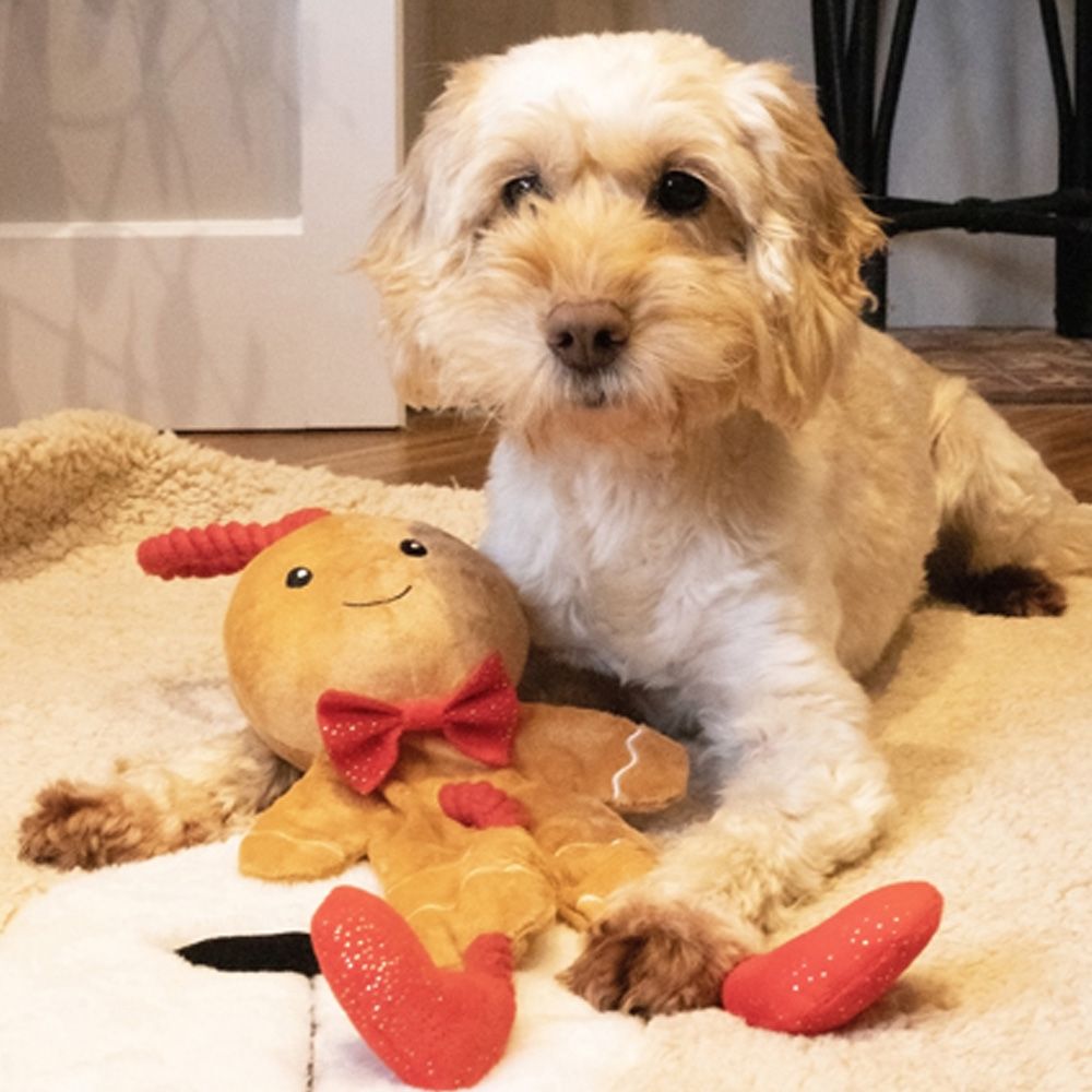 Rosewood Cupid & Comet George Gingerbread Man Rope Dog Toy  |  Dog Toys Dog Products Dog Toys